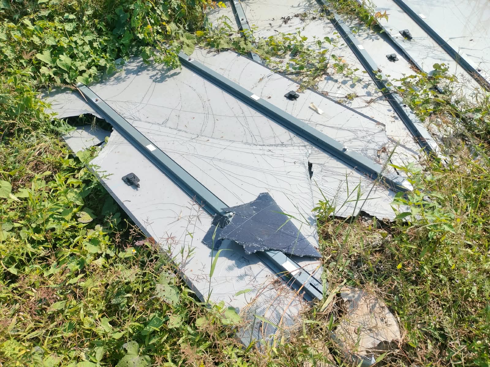 Backs of several solar panels with visible cracks, holes and loose fragments among vegetation